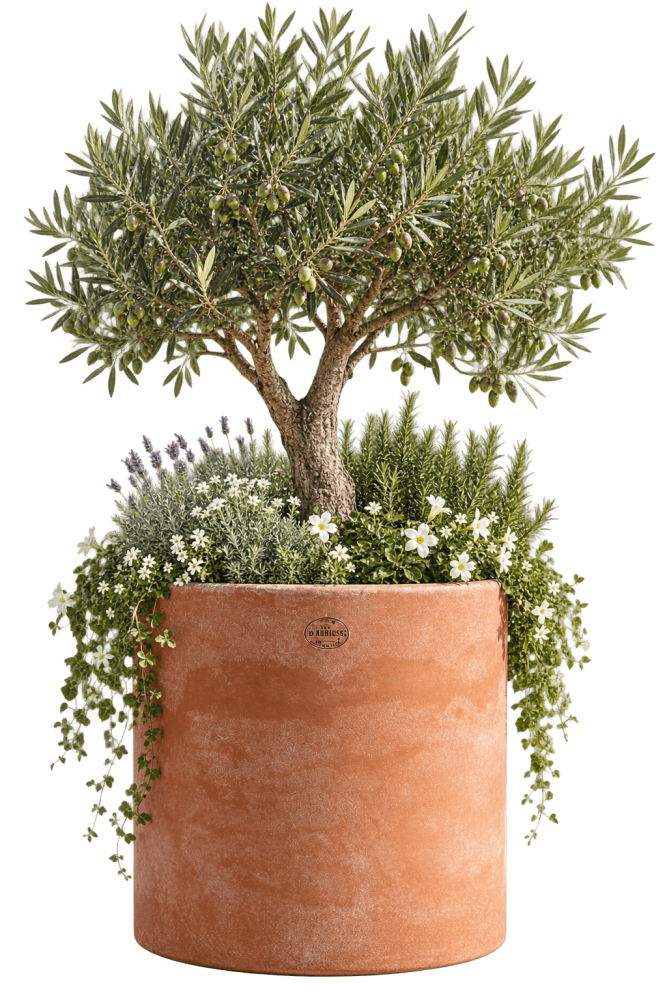 Preview: Pot Cylindrique Moderne en Terre Cuite d’Impruneta